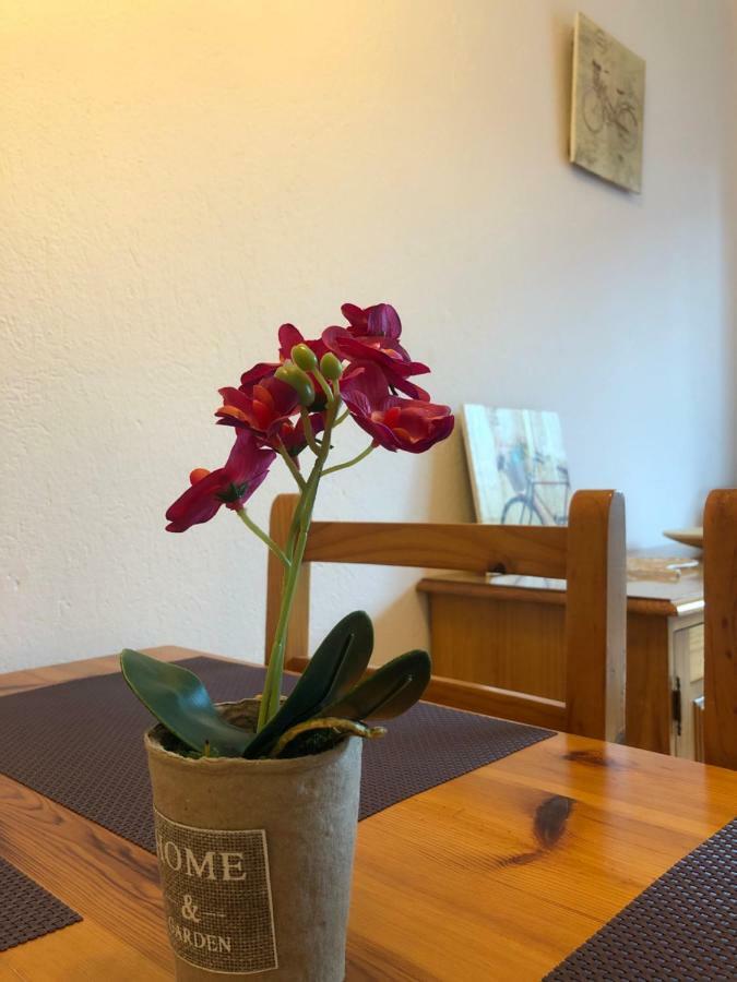 Apartaments S'Arenella Cadaqués Kültér fotó
